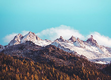 世界杯手机直播app下载-曼城疫情爆发波及英超三雄 埃弗顿敦促其公开信息